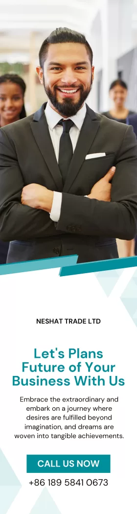 Modern Professional Business Wide Skyscraper Ad Vertical skyscraper ad with a businessperson