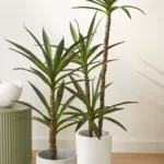 Artificial plants